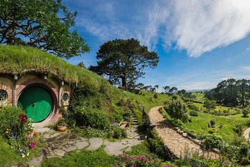 Auckland to Rotorua via Waitomo Caves One-Way Private Tour