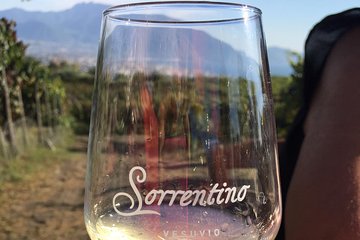 Transfer from Sorrento to Naples with wine tasting (1-8 PAX)