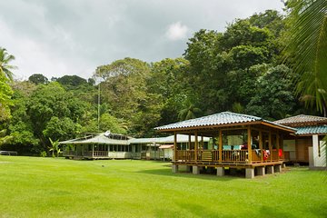Corcovado National Park From Manuel Antonio In One Day