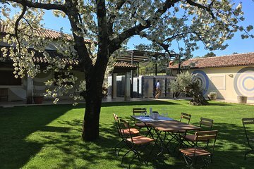 Istrian tapestry - gourmet tour combining wine, truffles and olive oil