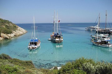 Bodrum Private Gulet Tour with Lunch