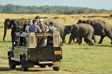 Day Tour from kandy to Sigiriya, Dambulla & National Park safari.