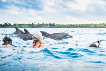 Kizimkazi Dolphin Tour