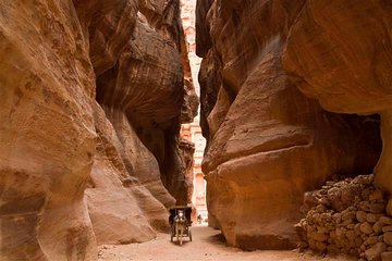 Petra and Wadi Rum 2-Day Tour from Jerusalem