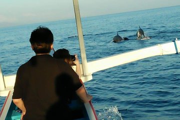 Lovina sunrise with Dolphin watching and Twin Banyumala Waterfall Day Trip