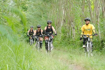 Kintamani Downhill Cycling Tour