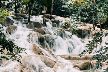 Dunn's River Falls Private Tour 