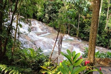 Dunns River Falls and Bob Marley Nine Mile Private Tour