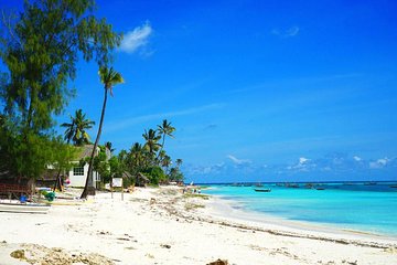 Nungwi Village and Sea Turtle Swimming with Transfer Zanzibar