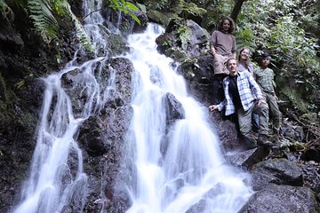 Waterfall Hike