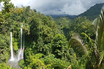 Sekumpul Waterfall Tour with Lunch