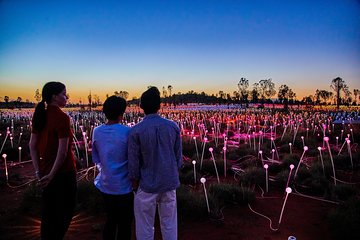 Uluru (Ayers Rock) Field of Light Sunrise Tour