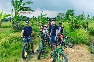 Tanah Lot Temple Canggu Rice Field eBike Private Tour