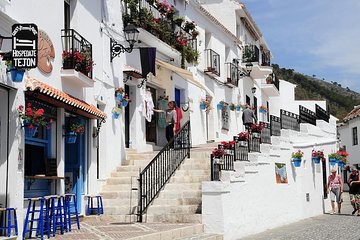 Private tours from Malaga to Mijas and and Benalmadena for up to 8 persons