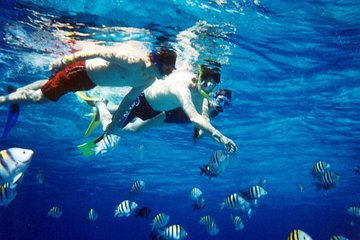 Snorkeling Cruise from Hurghada to Mahmaya, Giftun Islands