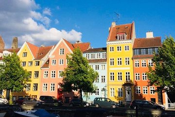 Copenhagen Walking Tour with Food Testing (smorrebrod dish & snap) 