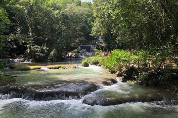 Ys Falls & Black River Safari Boat Cruise [Transportation only]