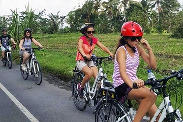 Healthy Cycling with Bali Tour Electric Bike