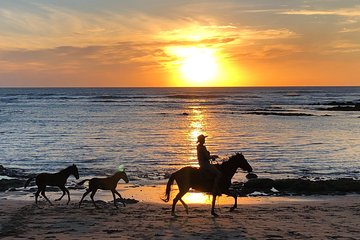 Private tours and transfer Costa Rica