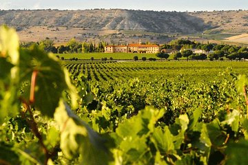 Self Drive Experience in Colchagua Valley, 4 days