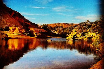 4x4 excursion to Safsaf Wild Oasis with traditional Berber picnic