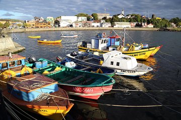 Puerto Montt: Full day Chiloe island visiting Ancud - Caulin - Lacuy