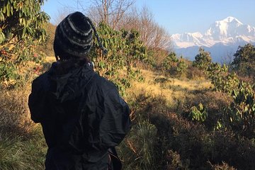 Poon Hill Circuit with Hot Spring Trek from Pokhara