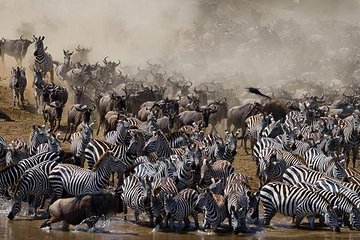7 Day 6 nights Great Migration Classic Tanzania Safari