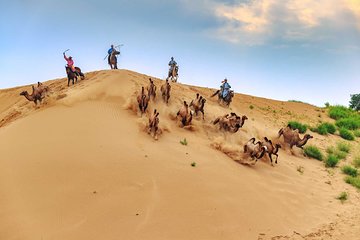 8 Days Tour: Gobi Desert And Kharkhorin