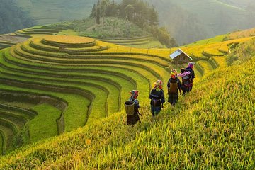 Trekking In Mu Cang Chai Tour 4 Days