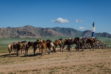 3d, 2n Tour to Terelj National Park, Elsen Tasarkhai Sand Dunes