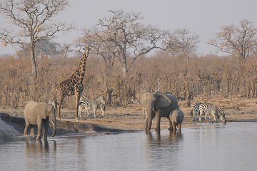 1 Night Hwange National Park Camping