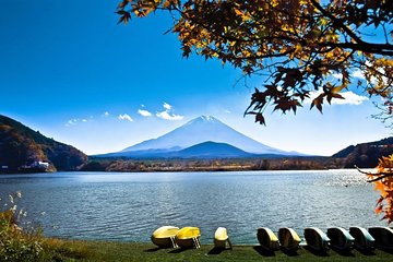 Private Fuji Hakone Tour Charter with English Speaking Driver