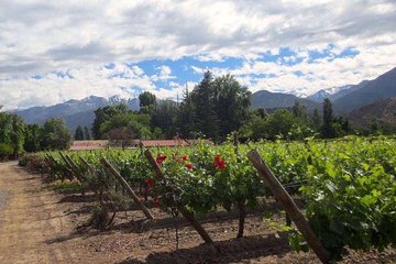 Aconcagua Private Wine Lovers Premium Tour