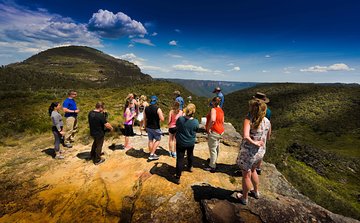 Blue Mountains Deluxe Small-Group Eco Wildlife Tour from Sydney