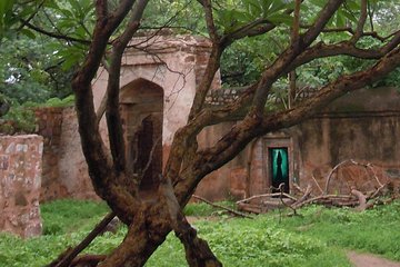Delhi Haunted and Creepy Ruins Discovery