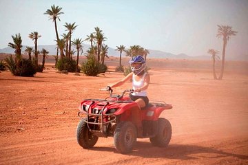 Safari by Quad Bike & Camel Ride With transfer- Sharm El Sheikh