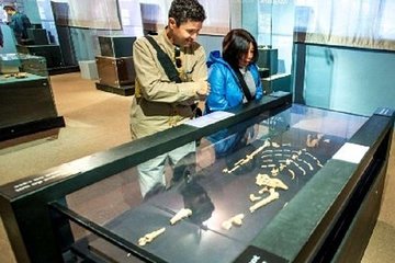 Museum Highlights Guided Day Tour in Addis Ababa
