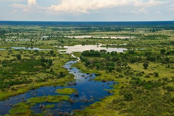 Okavango Delta to Victoria Falls via Elephant Sands and Chobe (7 nights)