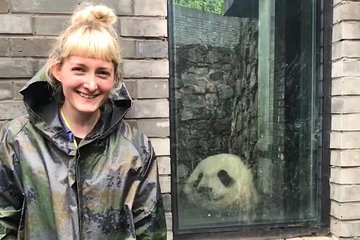 Dujiangyan Panda Volunteering Experience with Lunch