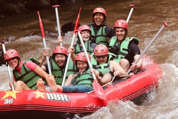 Jungle Swing and Bali Ubud Rafting with Lunch Transport