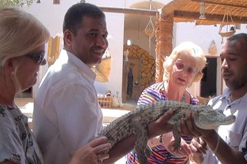 4-day private tour of Luxor, Aswan and Abu Simbel Historic Sites