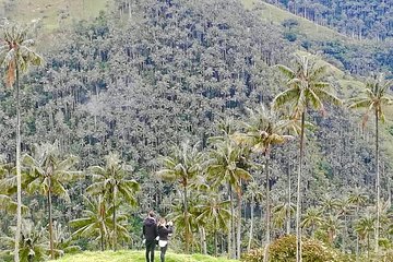 Exploring La Carbonera and the Volcano