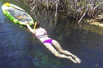 Paddleboard Cenote Tour 