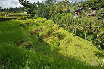 Ubud Day Tour with Lunch