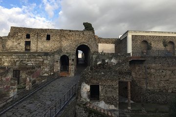 Pompeii-Herculaneum-Wine tour from Sorrento, with licensed guide included