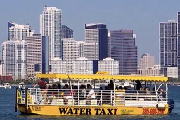 Miami: Millionaire Homes Boat Cruise on Water Taxi