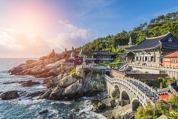 Cruise Layover : Small Group Busan Highlight Day Tour 