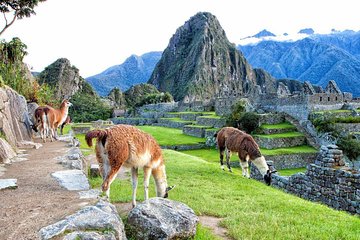 Sacred Valley Connection to Machu Picchu (Overnight in Sacred Valley)