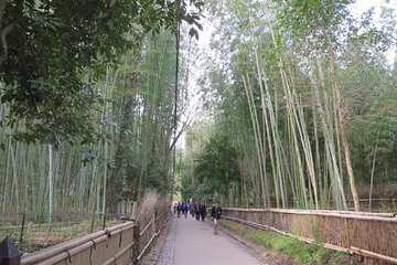 Visit the Lushan area (on foot, by tram)